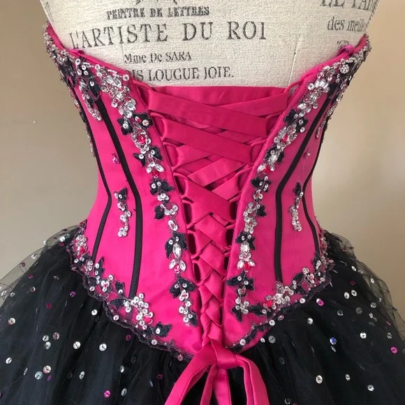 Ball Gown, Sequenced Satin Tulle, Pink & Black (size 9) - Picture 7 of 14